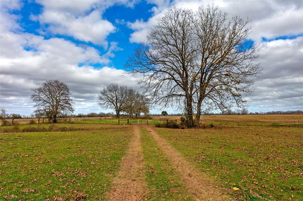 TBD Pr 4045  , Snook, Texas image 6