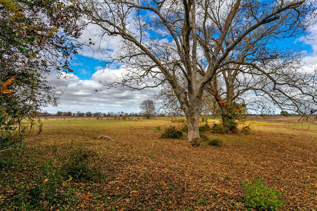 TBD Pr 4045  , Snook, Texas image 8