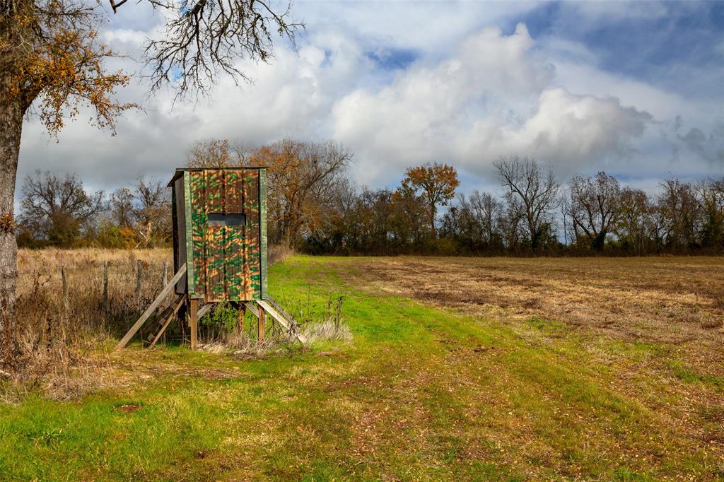 TBD Pr 4045  , Snook, Texas image 9