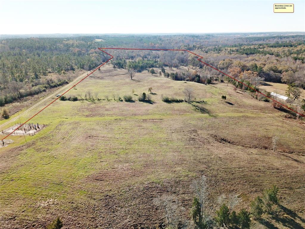 This 88.55 acre property offers incredible convenience to City of Nacogdoches amenities yet, still providing the quite country homestead setting.

The land features a mix of open land and native forest with very pleasing rolling topography ranging from 330' to 410'; and is bisected on the southern portion by the scenic Morral Bayou providing a good water source and wildlife corridor.

The property has oil top frontage along County Road 820, which connects to FM 3314 leading directly to west Loop 224 for convenience travel.

Electricity is accessible at the county road.