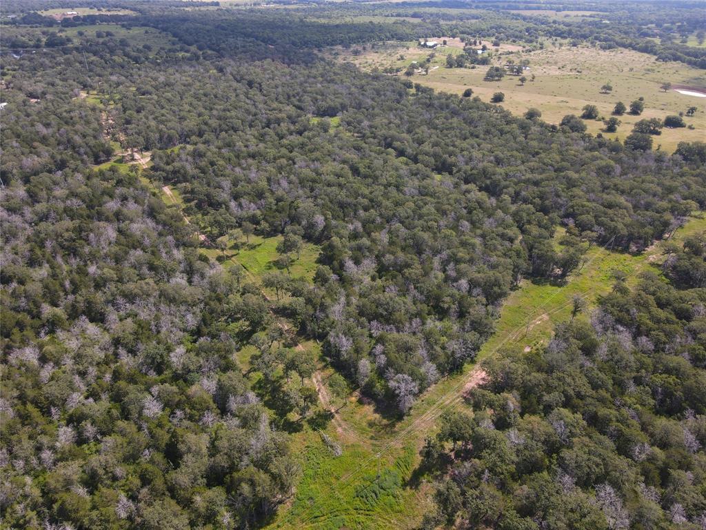 24 acres south of Smithville, TX. This property was part of an original 184 parcel. This listing is for TRACTS 7 and 8 (see attached aerial). Wooded acreage w/beautiful trees/abundant wildlife/nice, a pond, and restricted homesites. Current exemption is held by wildlife management. Perfect for your new home or getaway cabin, this tract is off the beaten path yet close to retail, schools, & other amenities in Smithville & Bastrop. Electricity available/Bluebonnet Electric main lines on site. Water well & septic needed. (Photos are of the entire tract, not necessarily the subject tract.)