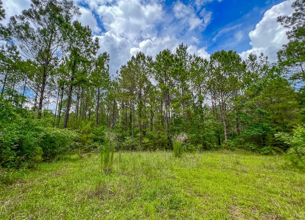 00 Hickman Road , Corrigan, Texas image 9