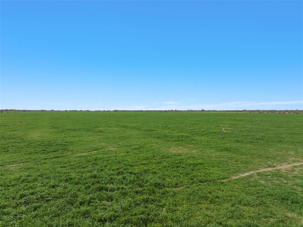 TBD County Rd 129  , Marlin, Texas image 11