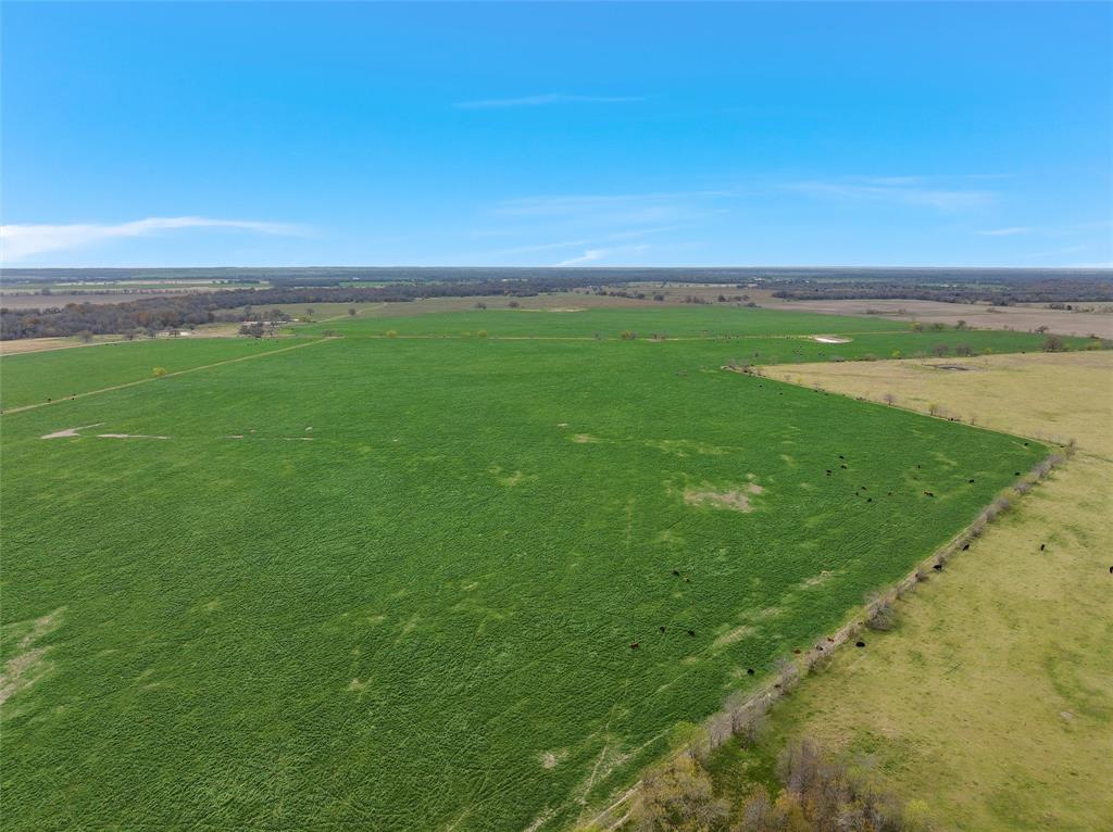 TBD County Rd 129  , Marlin, Texas image 5