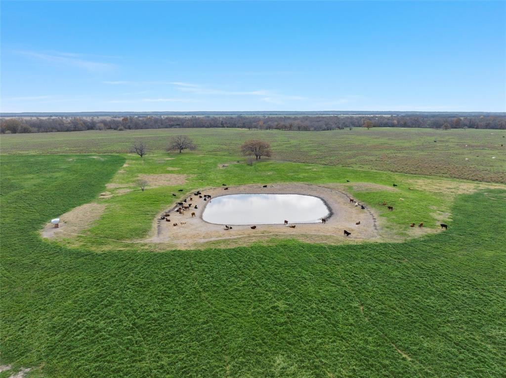 TBD County Rd 129  , Marlin, Texas image 8