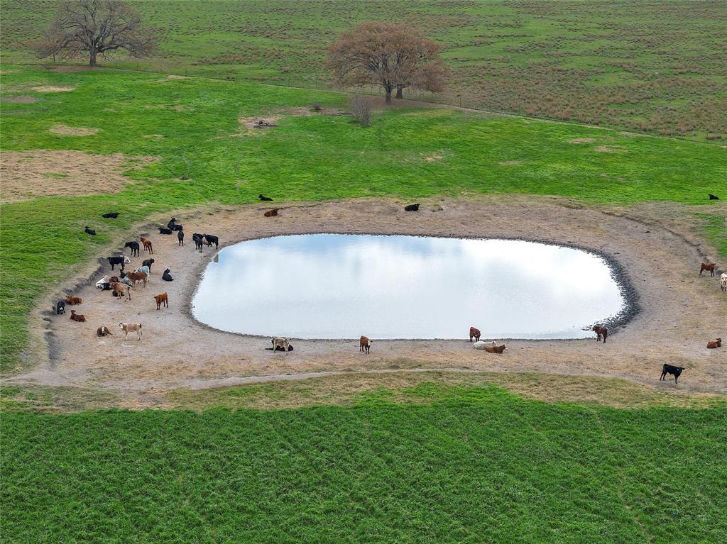 TBD County Rd 129  , Marlin, Texas image 9