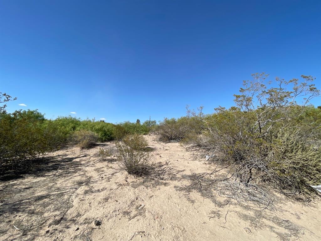 0000 Horizon Boulevard , Socorro, Texas image 15