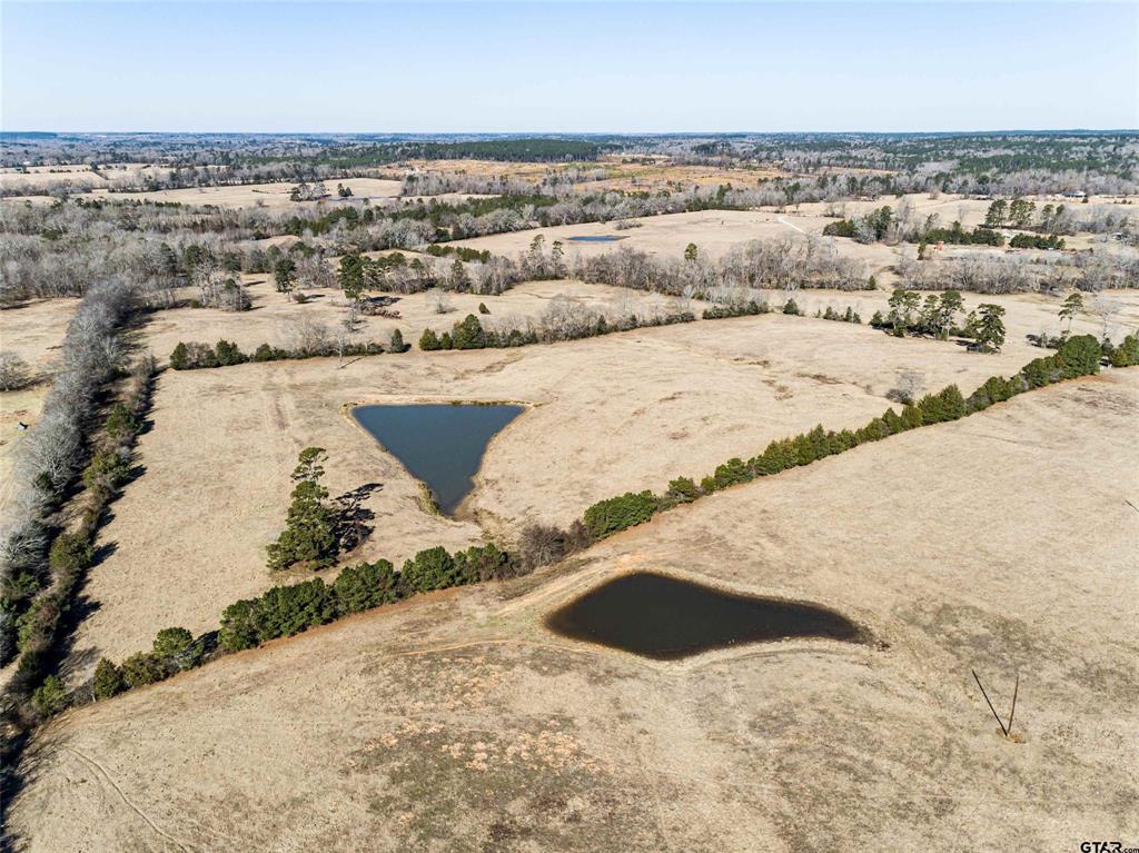 TBD County Road 317  , Henderson, Texas image 14