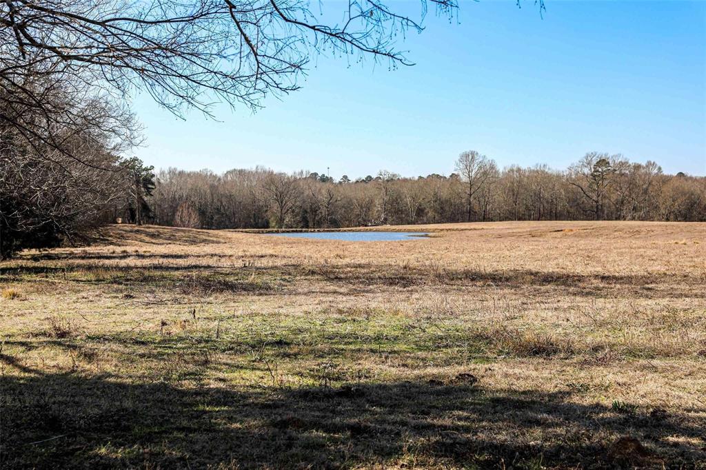 TBD County Road 317  , Henderson, Texas image 23