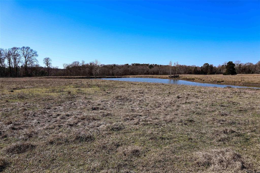 TBD County Road 317  , Henderson, Texas image 29