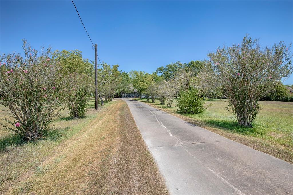 A view down the long driveway to the home.