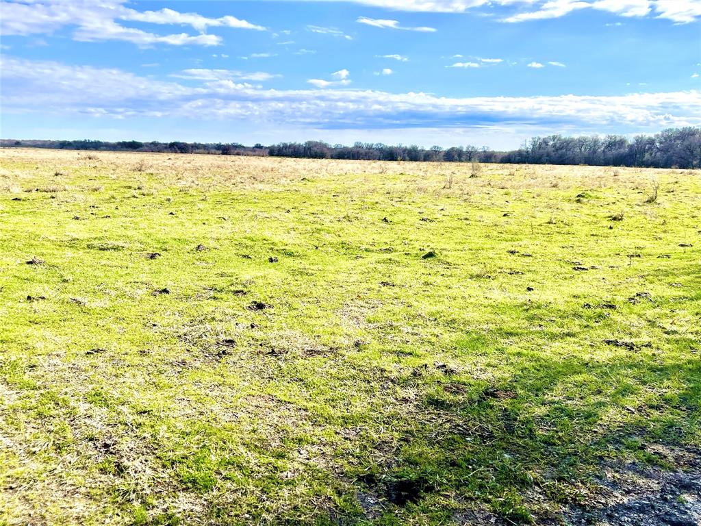 TBD Sw County Road 2230  , Wortham, Texas image 11