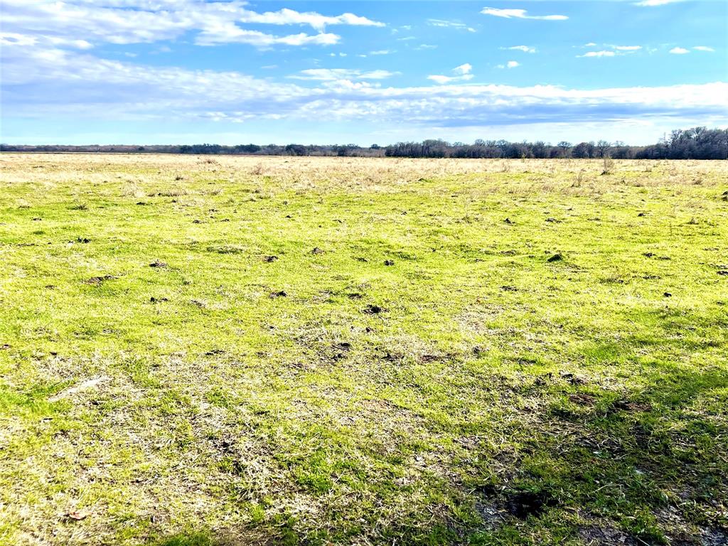 TBD Sw County Road 2230  , Wortham, Texas image 12