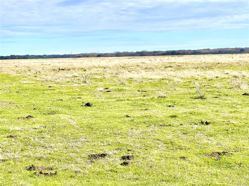 TBD Sw County Road 2230  , Wortham, Texas image 6