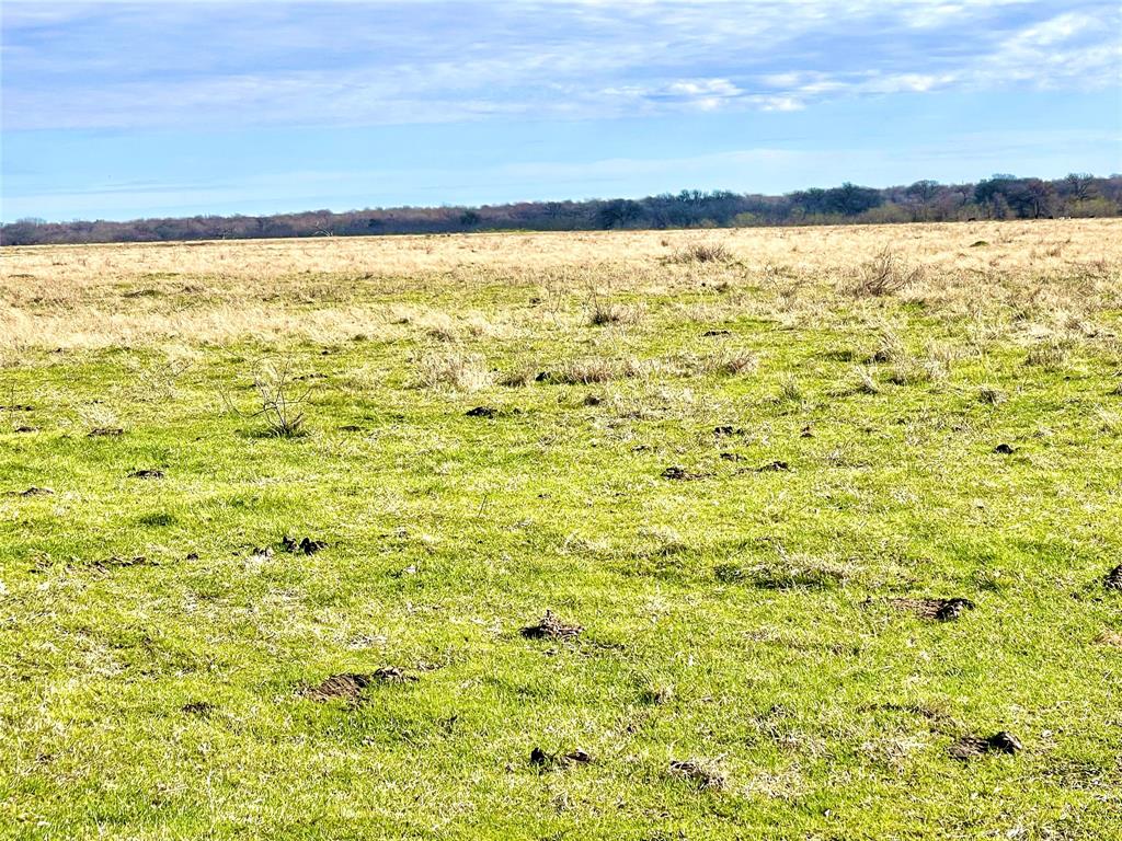 TBD Sw County Road 2230  , Wortham, Texas image 7