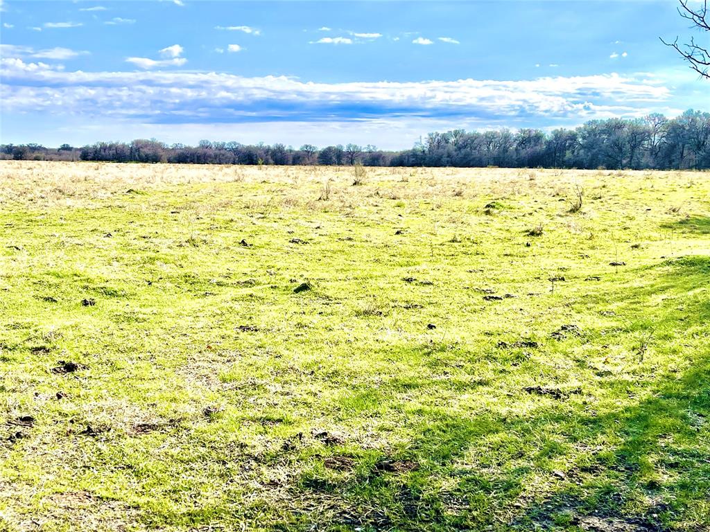 TBD Sw County Road 2230  , Wortham, Texas image 8