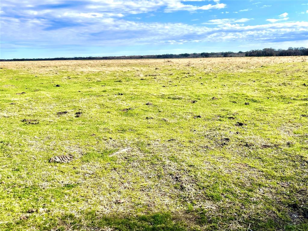 TBD Sw County Road 2230  , Wortham, Texas image 9