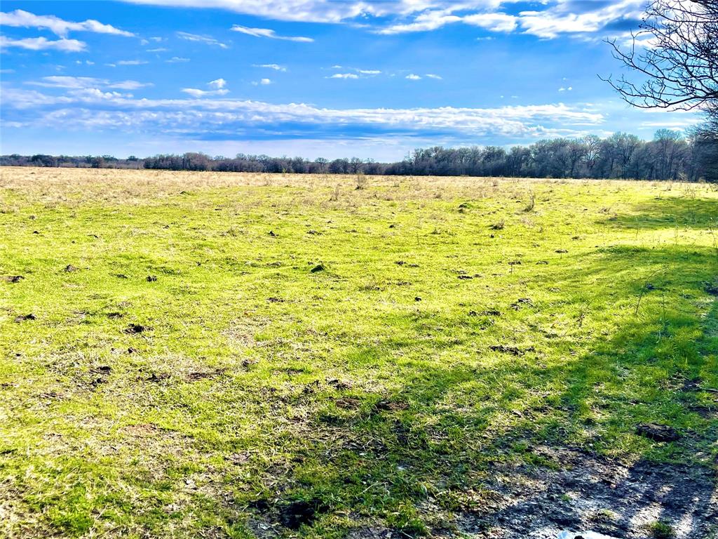 TBD Sw County Road 2230  , Wortham, Texas image 10