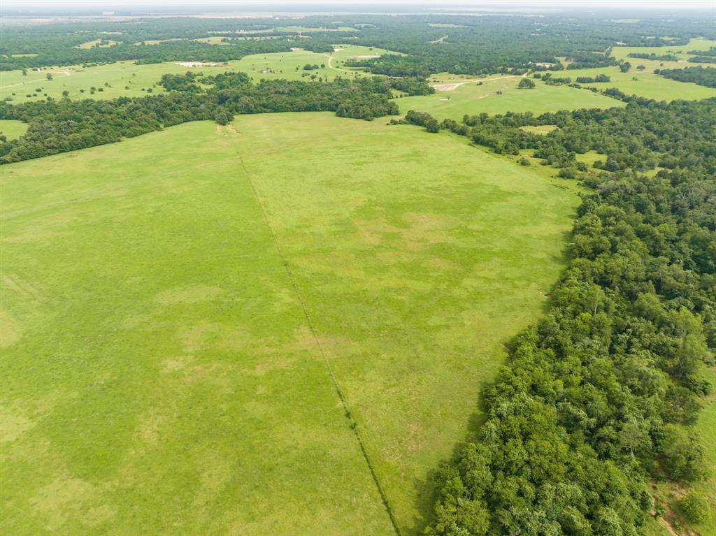 TBD Turner Lane , Franklin, Texas image 12