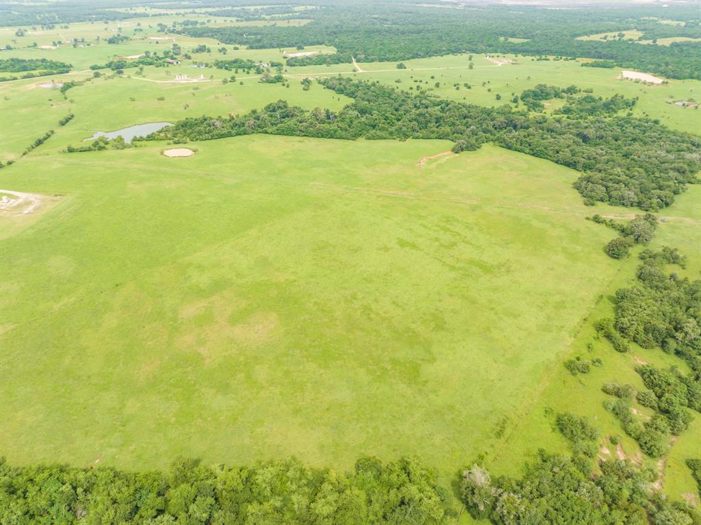 TBD Turner Lane , Franklin, Texas image 14