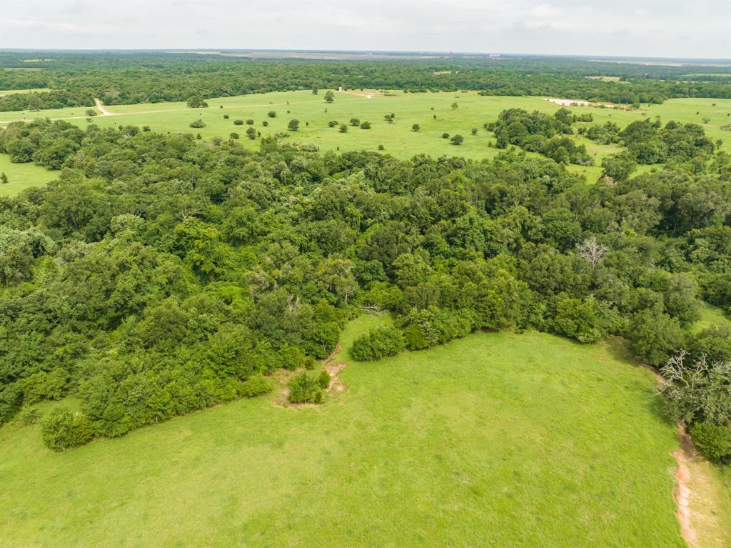 TBD Turner Lane , Franklin, Texas image 16