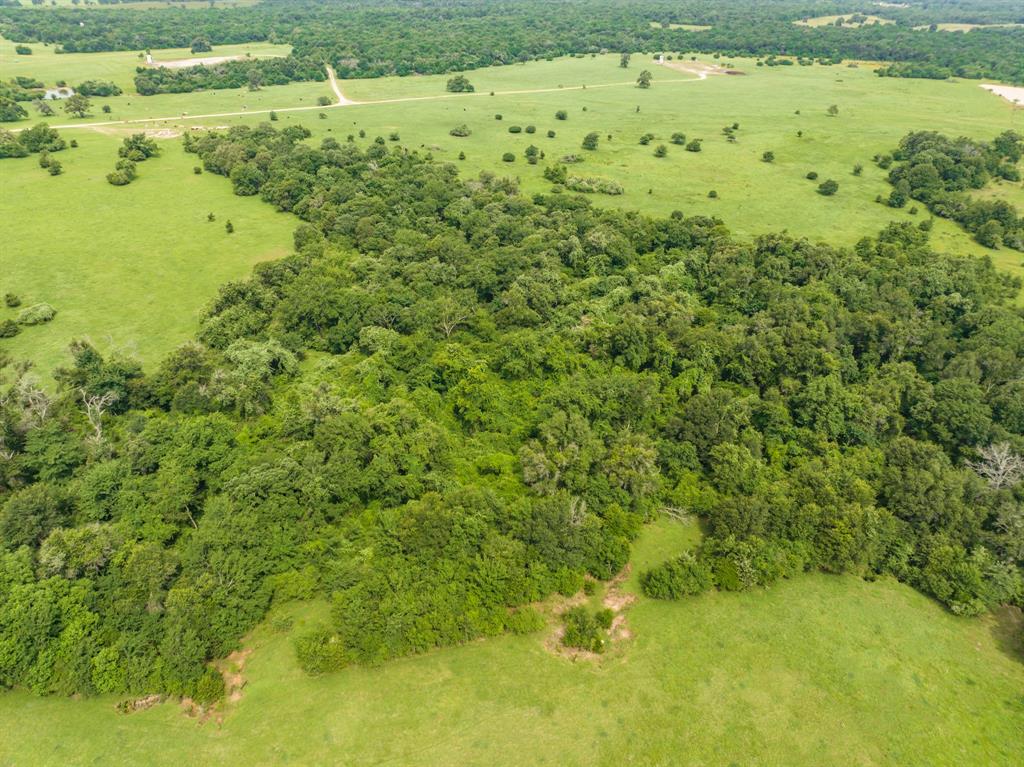 TBD Turner Lane , Franklin, Texas image 17