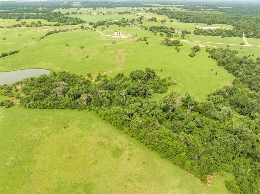 TBD Turner Lane , Franklin, Texas image 18