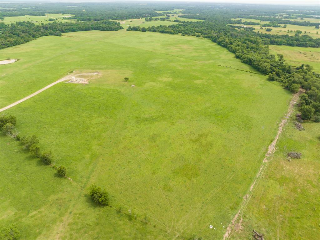 TBD Turner Lane , Franklin, Texas image 5