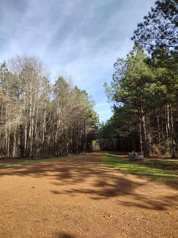 TBD Private Road , Carthage, Texas image 11