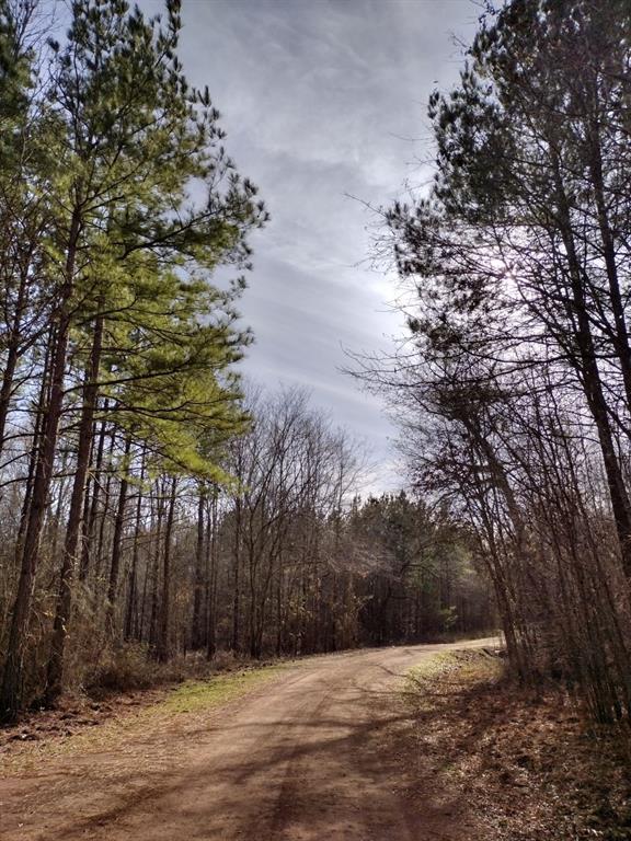 TBD Private Road , Carthage, Texas image 13