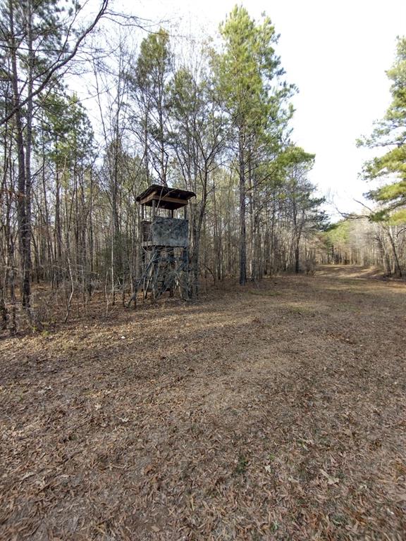 TBD Private Road , Carthage, Texas image 16