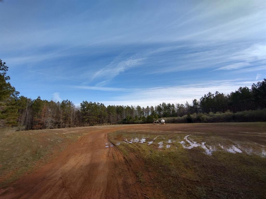 TBD Private Road , Carthage, Texas image 17