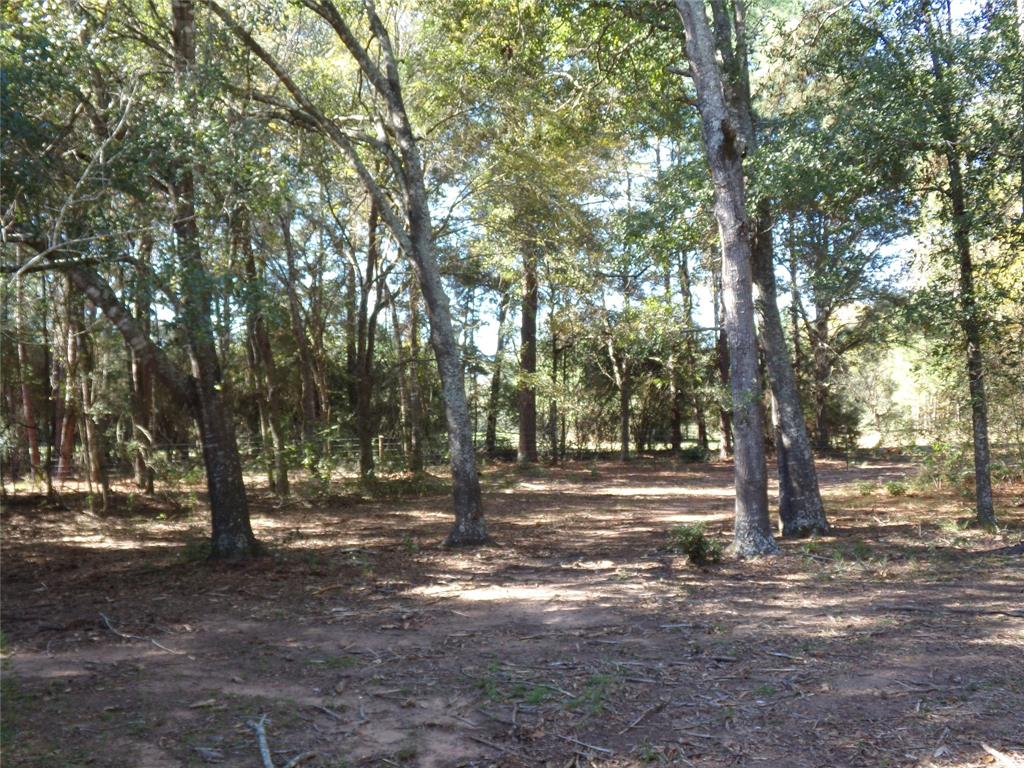 31409 Joseph Road , Hockley, Texas image 8