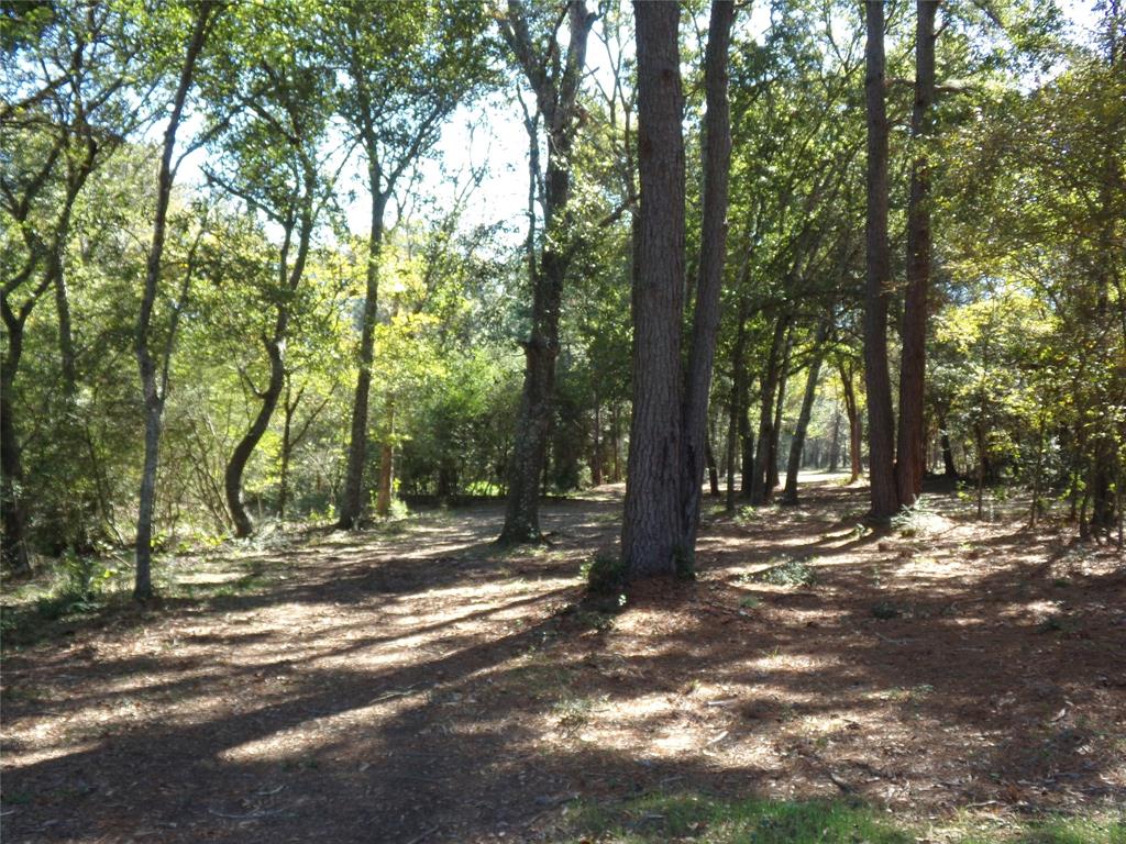 31409 Joseph Road , Hockley, Texas image 9