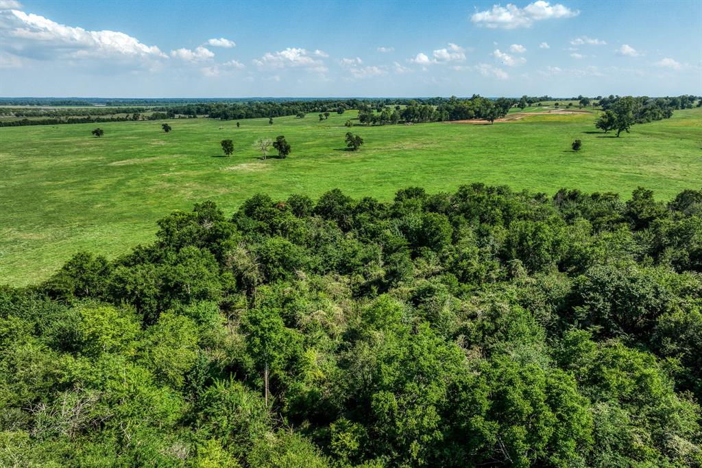 0000 Flat Prairie Road , Washington, Texas image 24