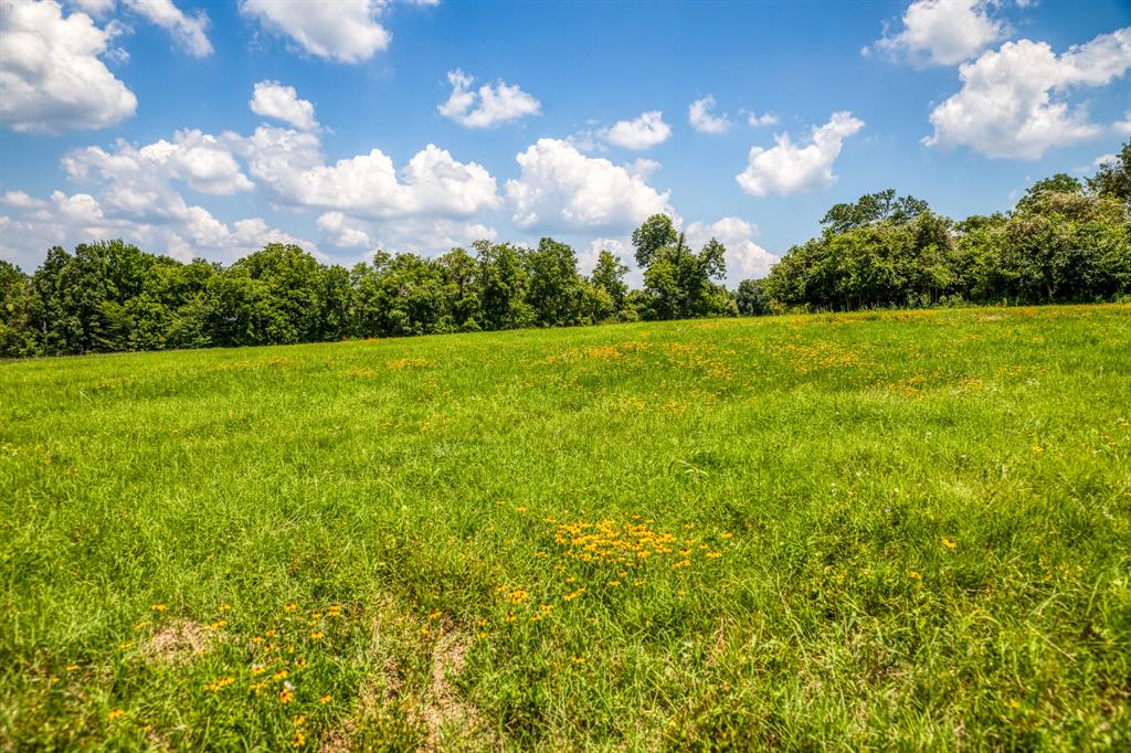 Flat Prairie Road , Washington, Texas image 11