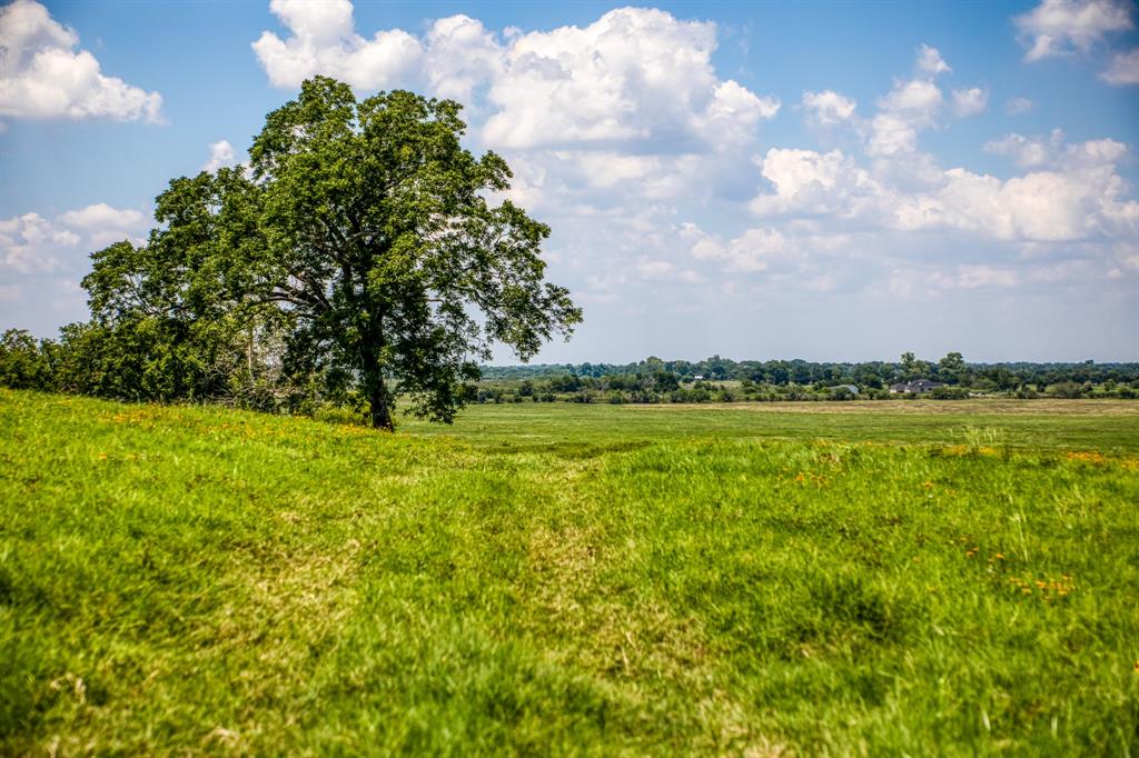 Flat Prairie Road , Washington, Texas image 14