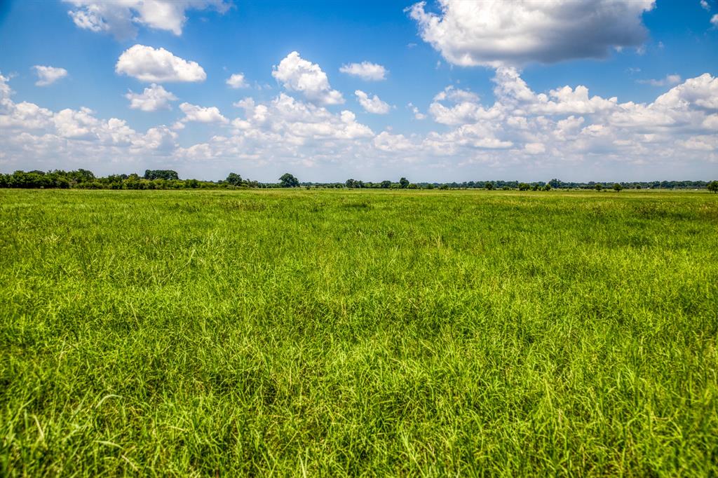 Flat Prairie Road , Washington, Texas image 16