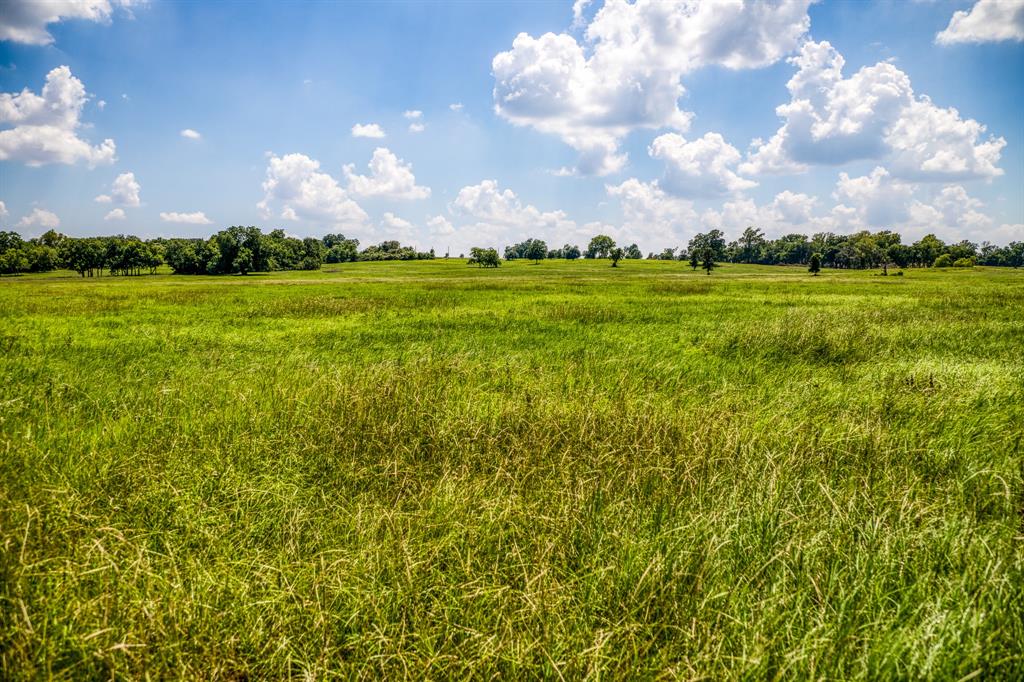 Flat Prairie Road , Washington, Texas image 17