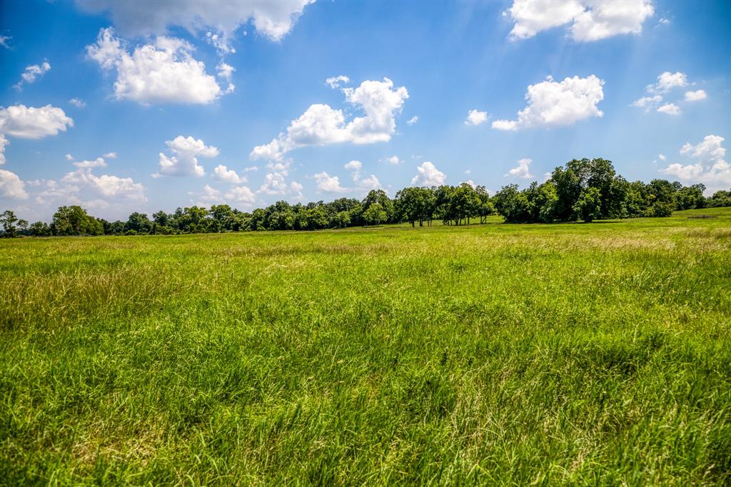 Flat Prairie Road , Washington, Texas image 18