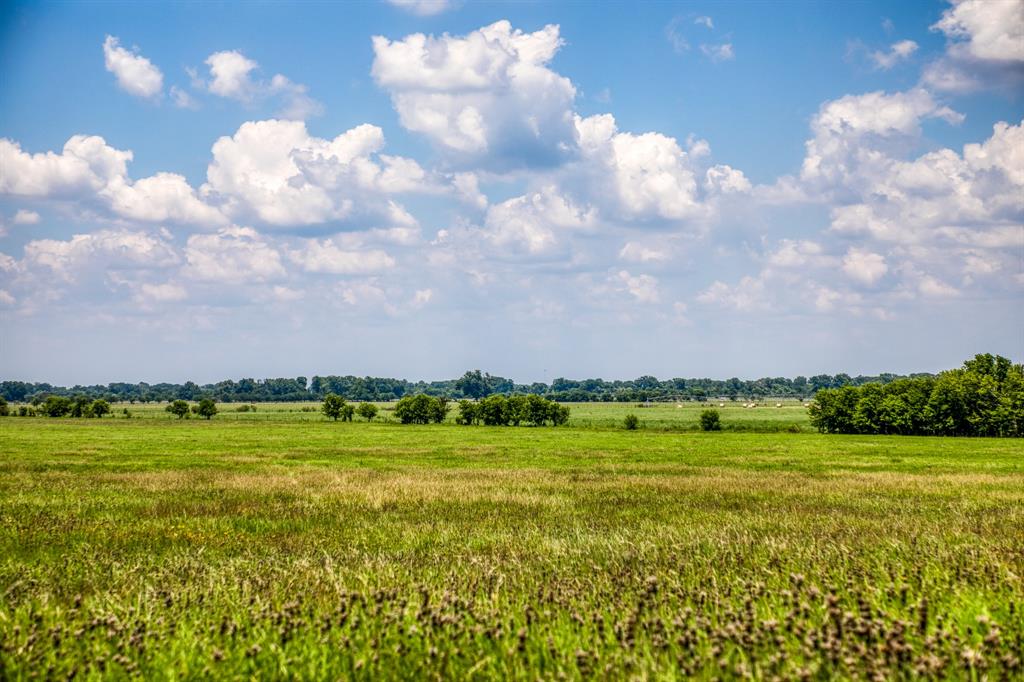 Flat Prairie Road , Washington, Texas image 4