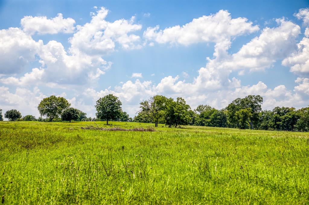 Flat Prairie Road , Washington, Texas image 5