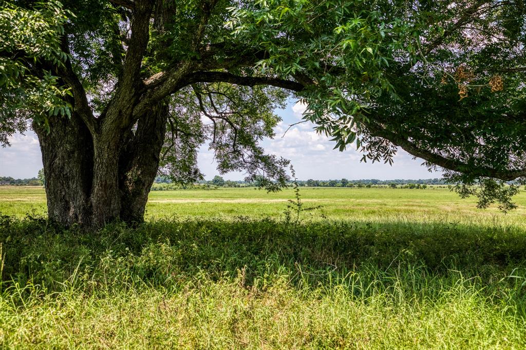 Flat Prairie Road , Washington, Texas image 6