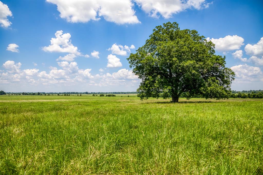 Flat Prairie Road , Washington, Texas image 7