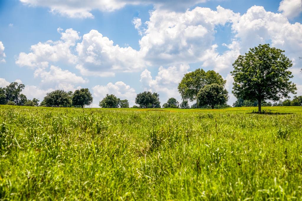 Flat Prairie Road , Washington, Texas image 8