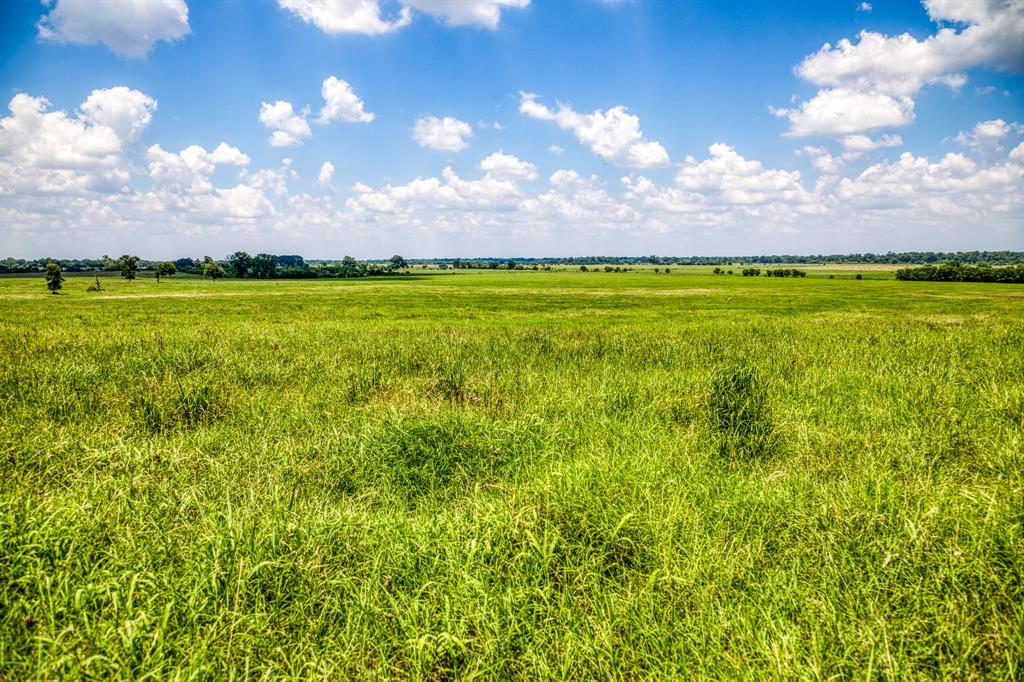 Flat Prairie Road , Washington, Texas image 9