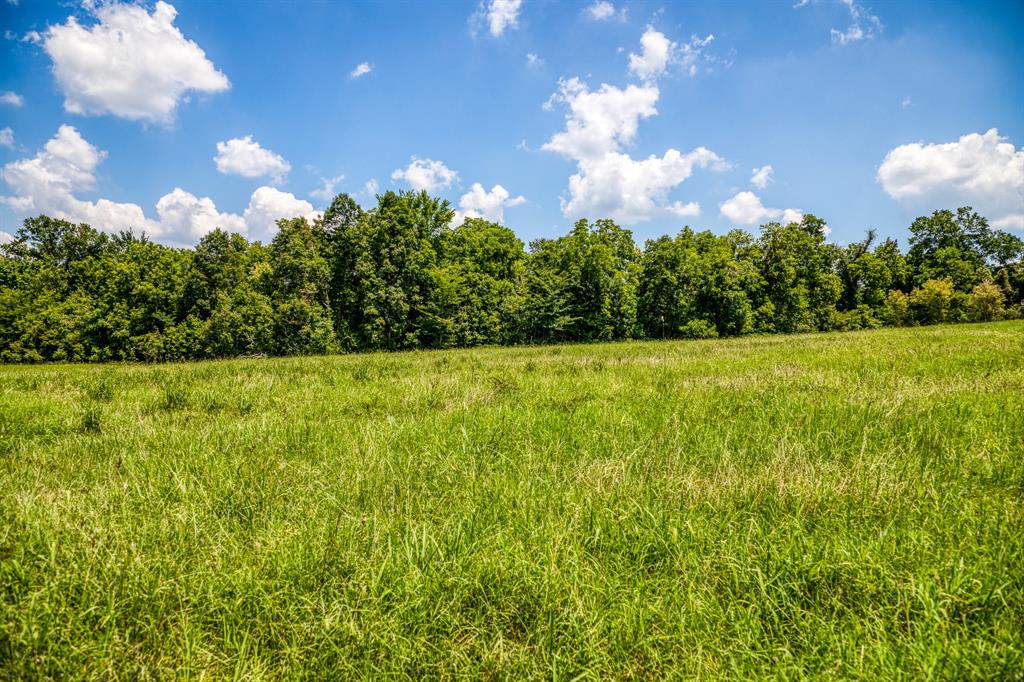 Flat Prairie Road , Washington, Texas image 10