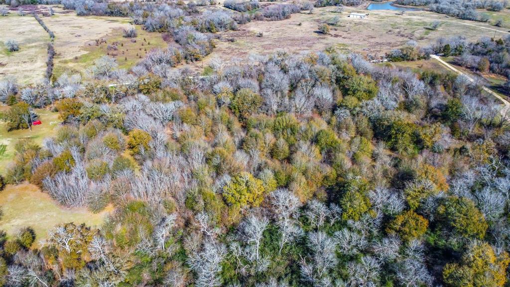 TBD Bundic Road , North Zulch, Texas image 12