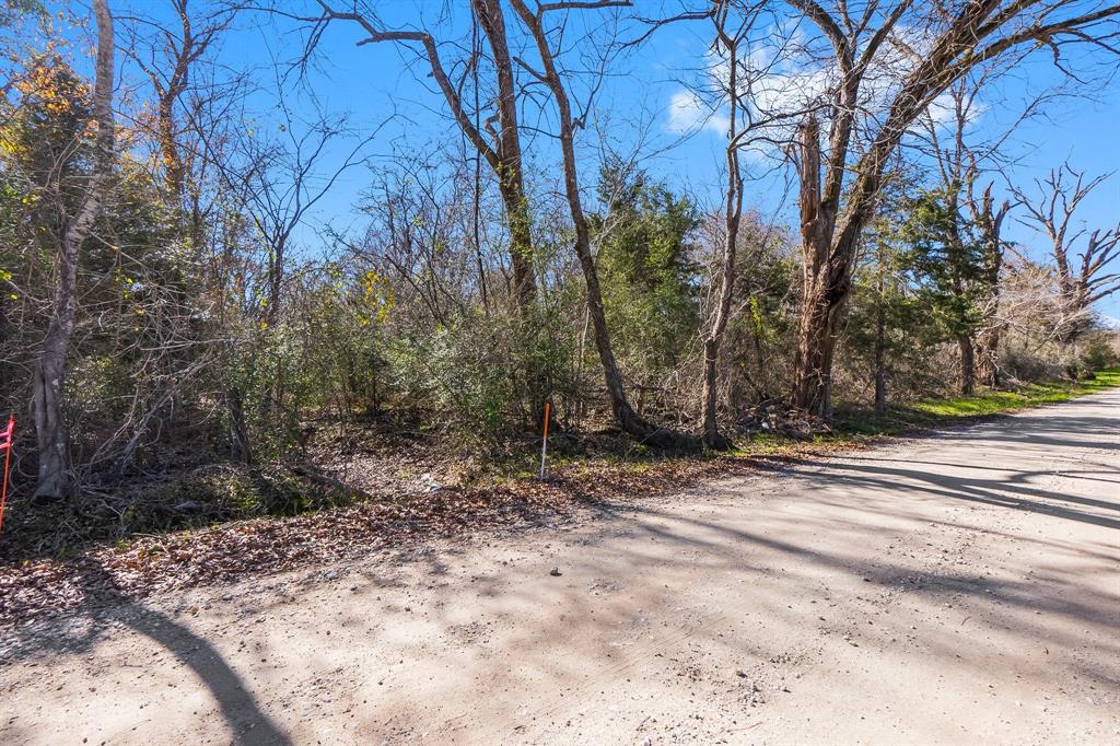 TBD Bundic Road , North Zulch, Texas image 13