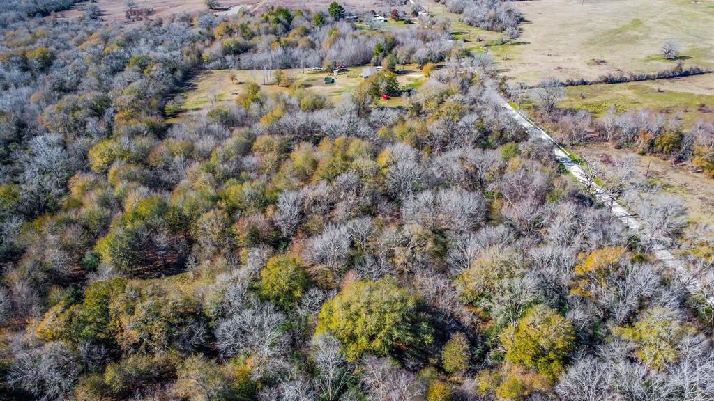 TBD Bundic Road , North Zulch, Texas image 6